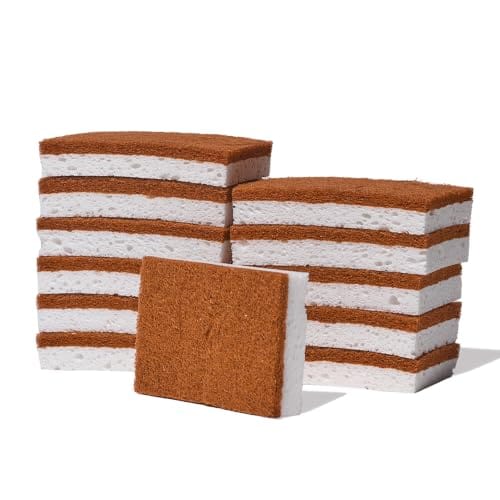 Public Goods Scrubber Sponge, 12-Pack