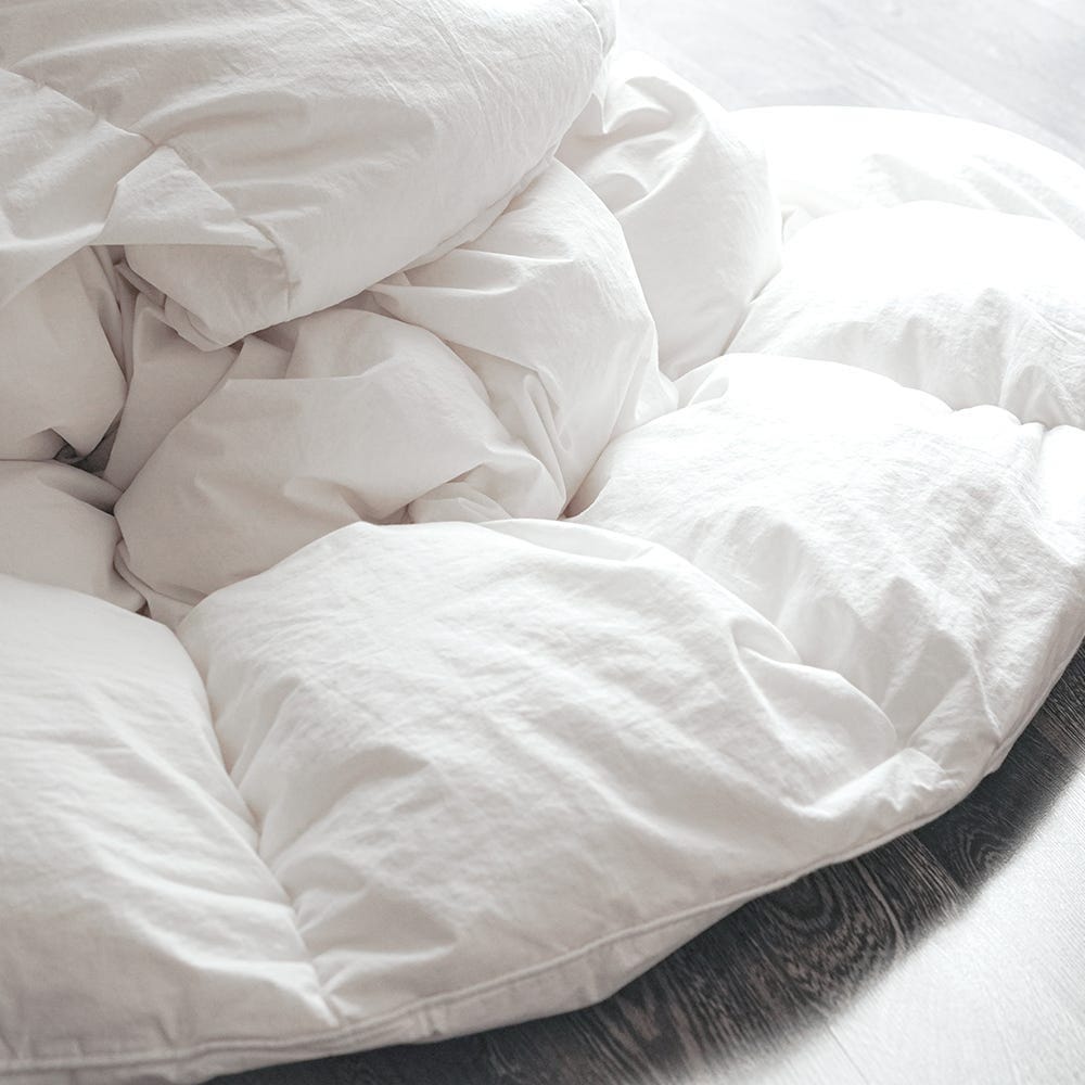Naturepedic Organic Down Duvet Insert