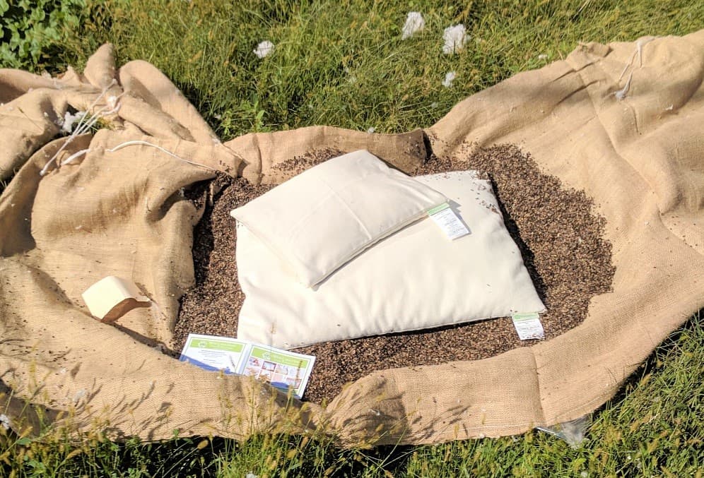 White Lotus Home Organic Buckwheat Pillow
